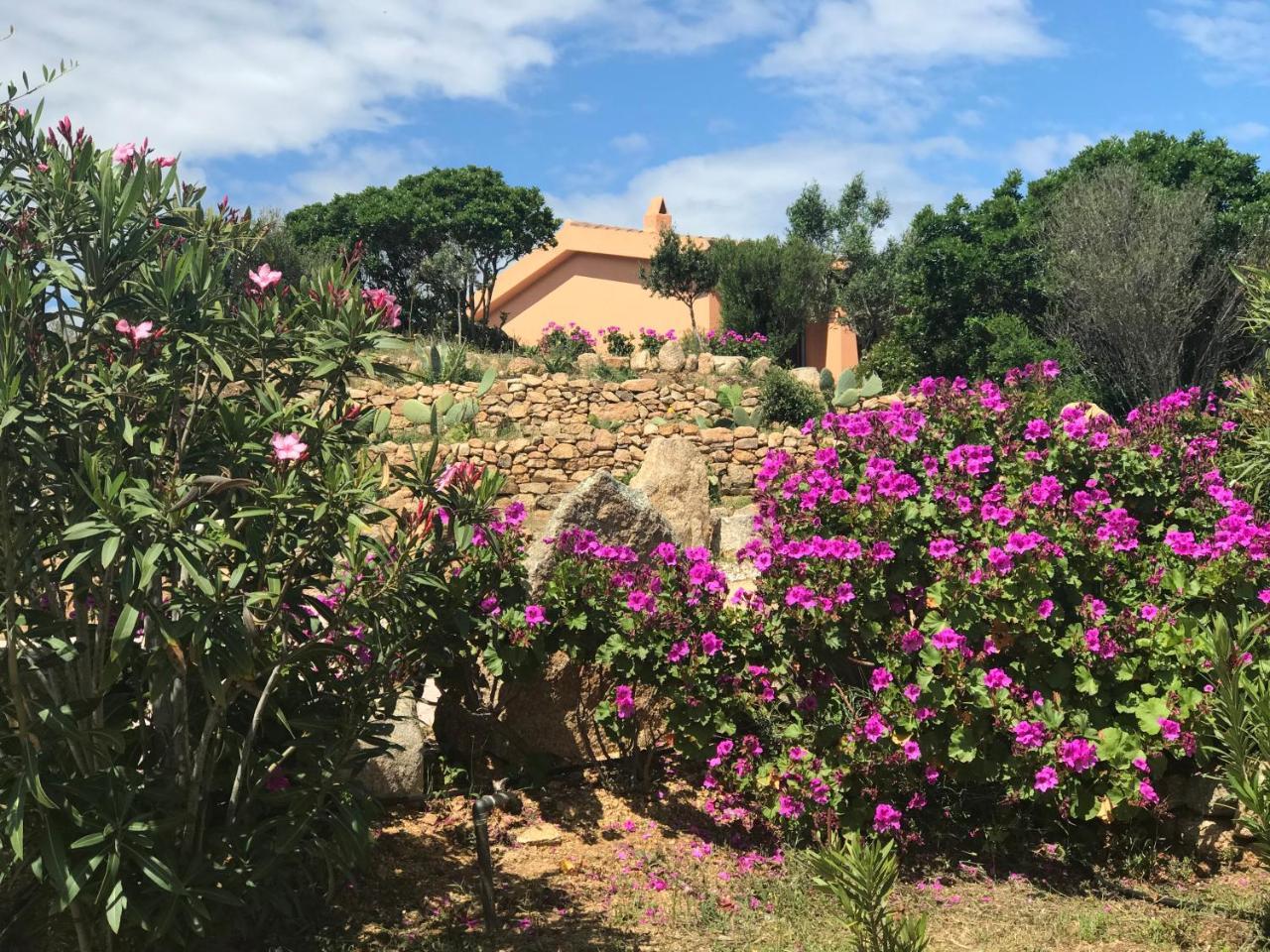 Casagliana Suite Resort Olbia Dış mekan fotoğraf